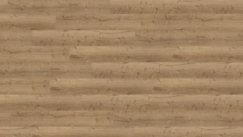 Wineo Klick Vinyl Multilayer - 400 wood XL Comfort Oak Nature | Trittschalldämmung integr. (MLD291WXL)
