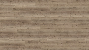 Wineo Klick Vinyl Multilayer - 400 wood XL Comfort Oak Taupe | Trittschalldämmung integr. (MLD300WXL)