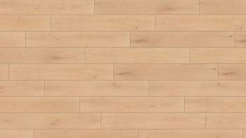 Wineo Bioboden - 1000 wood XL Noble Oak Vanilla zum Klicken (PLC310R)