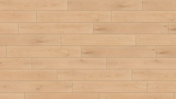 Wineo Bioboden - 1000 wood XL Noble Oak Vanilla Multi Layer zum Klicken (MLP310R)