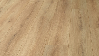 planeo Laminat - Eiche Canta | antibakterielle Oberfläche (KRO-7006)