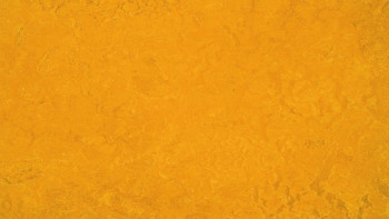 Forbo Linoleum Marmoleum Fresco - golden sunset 3125 2.0