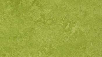 Forbo Linoleum Marmoleum Fresco - green 3247