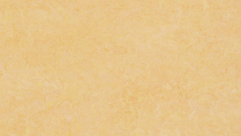 Forbo Linoleum Marmoleum Fresco - natural corn 3846 2.0