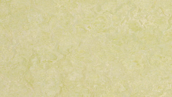 Forbo Linoleum Marmoleum Real - green wellness 3881 2.0