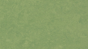 Forbo Linoleum Marmoleum Fresco - leaf 3260-2.5