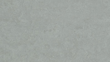 Forbo Linoleum Marmoleum Fresco - cinder 3889-2.5