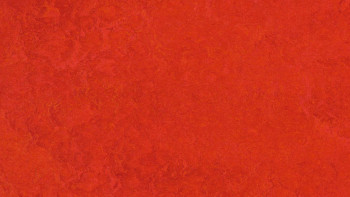 planeo Linoleum Linoklick - Scarlet  - 333131