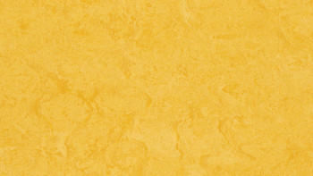 Forbo Linoleum Marmoleum Fresco - lemon zest 3251 2.0