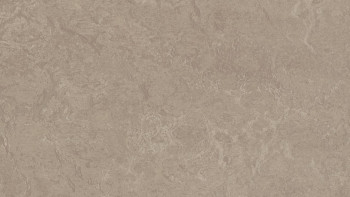 Forbo Linoleum Marmoleum Fresco - sparrow 3252 2.5