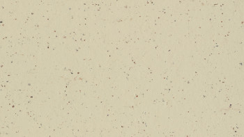 Forbo Linoleum Marmoleum Cocoa - white chocolate 3584-2.5