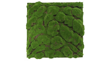planeo Akustikpaneel - MixWall Moss Mood Forest Green Big Bulk 52 x 52 cm | Kunst-Moos (PLMW-00211C)