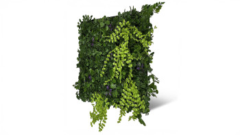planeo Akustikpaneel - MixWall Leaf Mood Cascade Mixed Flora 52 x 52 cm | Kunstpflanze (PLMW-10121A)