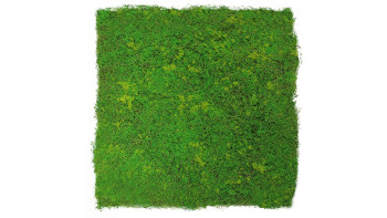 planeo Akustikpaneel - MixWall Moss Mood Light Green Fibre 52 x 52 cm | Kunst-Moos (PLMW-10211C)