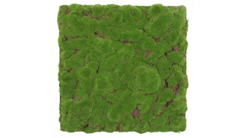 planeo Akustikpaneel - MixWall Moss Mood Forest Green Bulk 52 x 52 cm | Kunst-Moos (PLMW-20211C)