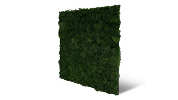 planeo Akustikpaneel - MixWall Living Moss Dark Green 52 x 52 cm | Natur-Moos (PLMW-30111)
