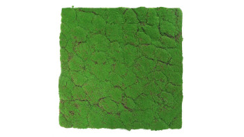 planeo Akustikpaneel - MixWall Moss Mood Forest Green 52 x 52 cm | Kunst-Moos (PLMW-30121A)