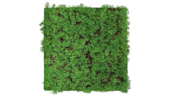planeo Akustikpaneel - MixWall Living Leaf Thuja Tea Tree 52 x 52 cm | Naturpflanze (PLMW-50111)