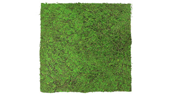 planeo Akustikpaneel - MixWall Living Leaf Forest Green Ancient Tree 52 x 52 cm | Naturpflanze (PLMW-70111)