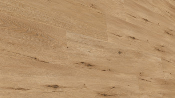 planeo DekoWall - Wandvinyl X-Wide Country Oak Nature | Synchronprägung (DB294WXL-WV)