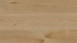 KWG Klebevinyl - Antigua Infinity extend Natureiche macchiato Microfase (210033)