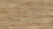 KWG Klick-Vinyl - Antigua Infinity extend Selecteiche markant Microfase (380016)