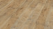 KWG Klick-Vinyl - Antigua Infinity extend Selecteiche markant Microfase (380016)