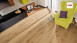 Haro Laminatboden - Tritty 100 Gran Via 4V - Alpineiche Natur - authentic/matt - 4-seitige Fase - 1-Stab Landhausdiele (526709)