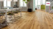 Haro Parkett - Serie 4000 naturaLin plus Eiche Alabama (529587)