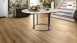 Haro Laminat Tritty 100 Campus 4V Eiche italica creme authentic Landhausdiele (532060)