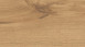 Haro Laminat Tritty 100 Campus 4V Alpineiche natur authentic/matt Landhausdiele (532063)