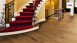 Haro Parkett - Serie 4000 Plaza naturaLin plus Bernsteineiche Universal (533499)