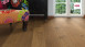 Haro Parkett - Serie 4000 Plaza naturaLin plus Bernsteineiche Universal (533499)