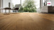 Haro Parkett - Serie 4000 Plaza naturaLin plus Bernsteineiche Universal (533499)