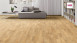 Haro Parkett 3500 Eiche Favorit (534588)