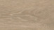HARO TRITTY 100 Eiche Veneto crema  (535261)