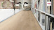HARO TRITTY 100 Gran Via Eiche Veneto crema (535269)