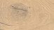Haro Parkett 4000 2V Eiche sand pur Sauvage (535446)