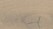 Haro Parkett 4000 2V Eiche sandgrau Sauvage (535450)