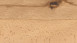 Haro Parkett 4000 2V Buche gedämpft Universal (535451)