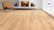 Haro Parkett 4000 2V Buche gedämpft Universal (535451)