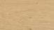 Haro Parkett 4000 4V Eiche Puro invisible Markant (535617)