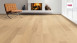 Haro Parkett 4000 4V Eiche Puro invisible Markant (535617)