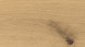 Haro Parkett 4000 4V Eiche Puro invisible Sauvage (535618)