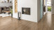 Haro Designboden zum Klicken - DISANO Saphir Steineiche Creme (537236)