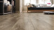 HARO Korkboden zum Klicken Corkett Arteo XL Shabby Oak grau (537261)