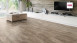HARO Korkboden zum Klicken Corkett Arteo XL Shabby Oak grau (537261)