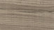 HARO Korkboden zum Klicken Corkett Arteo XL Shabby Oak grau (537261)