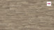 HARO Korkboden zum Klicken Corkett Arteo XL Shabby Oak grau (537261)