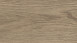 HARO Korkboden zum Klicken Corkett Arteo XL Eiche Portland dunkelgrau         (537264)